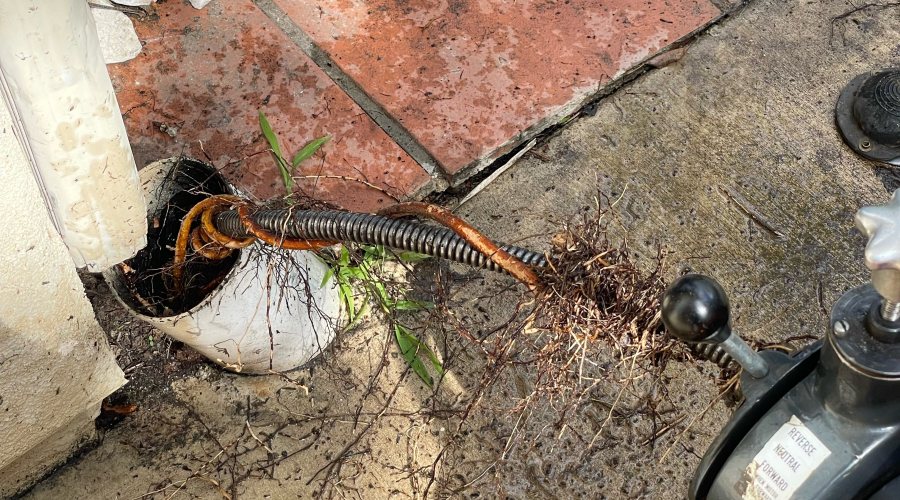 Professional drain cleaning service Burbank CA