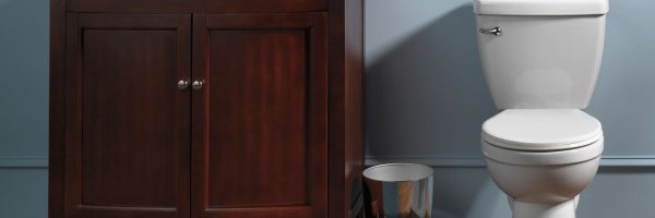 Toilet and faucet repair Burbank